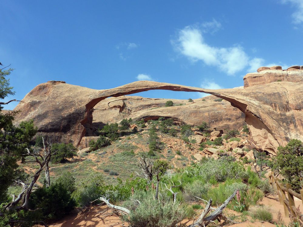 Arches NP Landscape Arch (10).JPG
